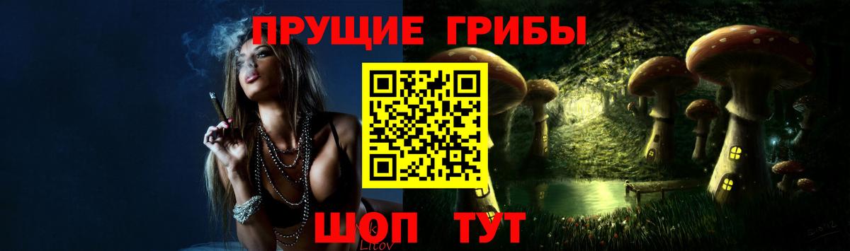 Галлюциногенные грибы Psilocybine cubensis  Псилоцибиновые грибы ЛСД  Видное  Вход с VPN 